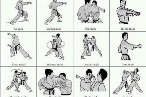 Thuật Ngữ tiếng Nhật trong Karate