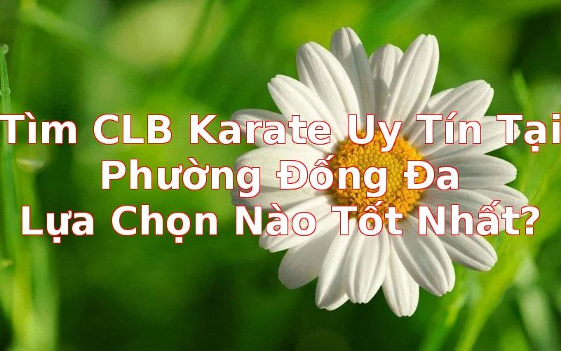 Top Các CLB Karate Uy Tín Tại Phường Đống Đa, Hà Nội