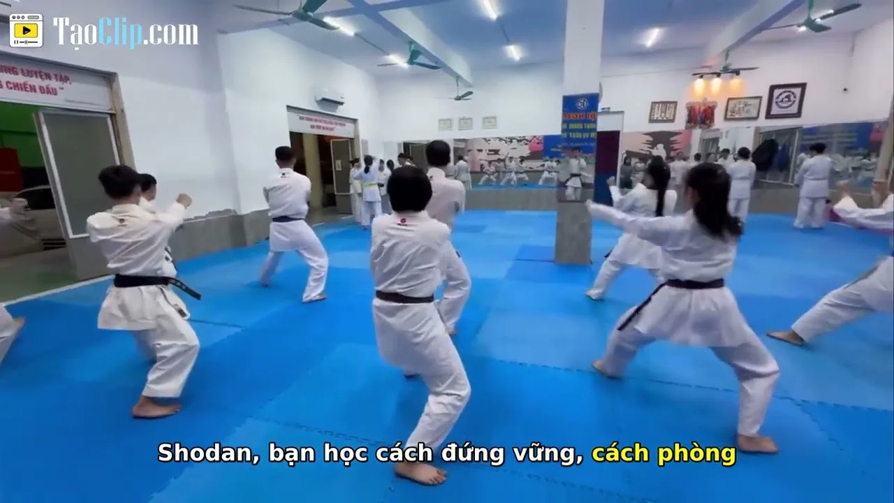 Bí Mật Quyền Karate: Hơn Cả Đấm Đá, Chạm Tới Tinh Thần Võ Sĩ!