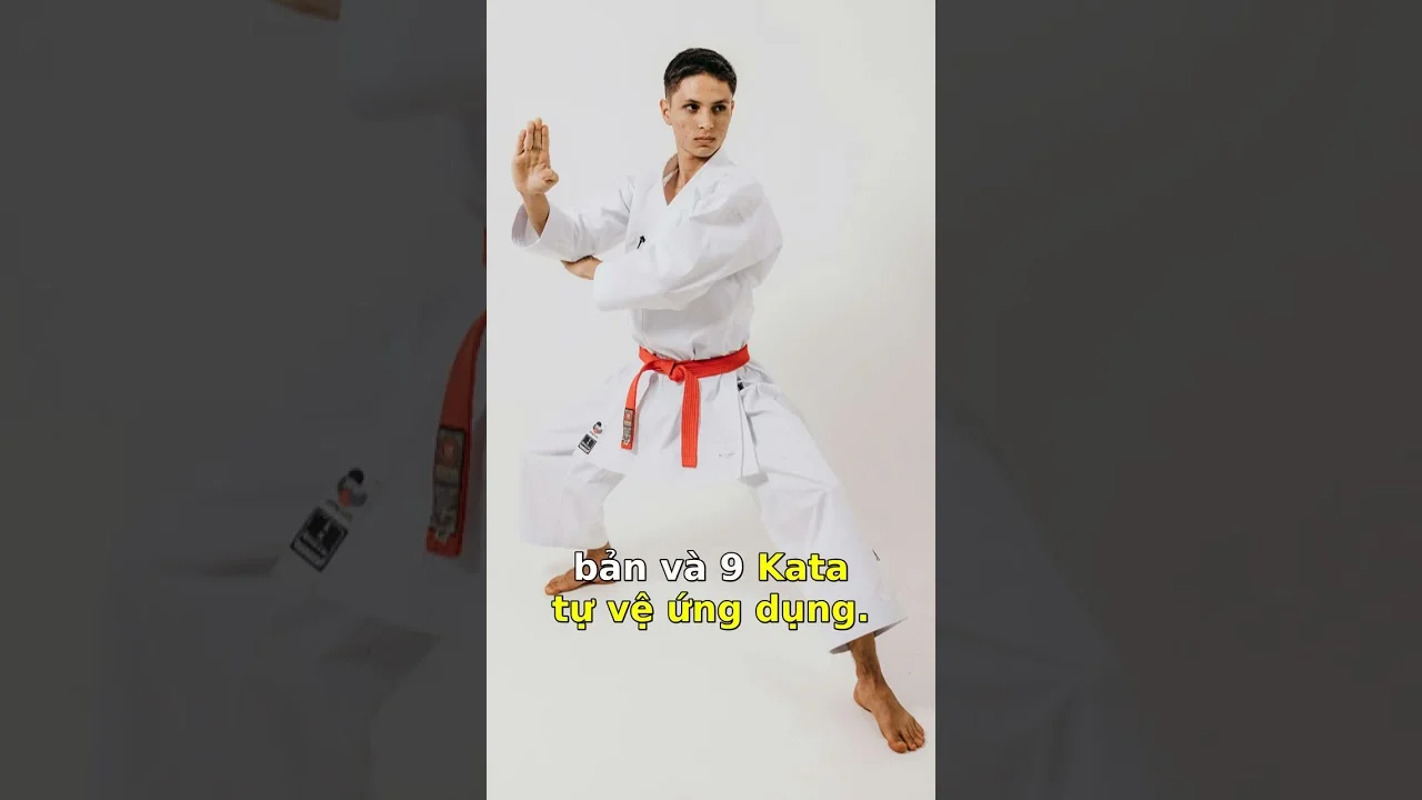 Sự Thật Bất Ngờ Về Số Lượng Bài Quyền Karate