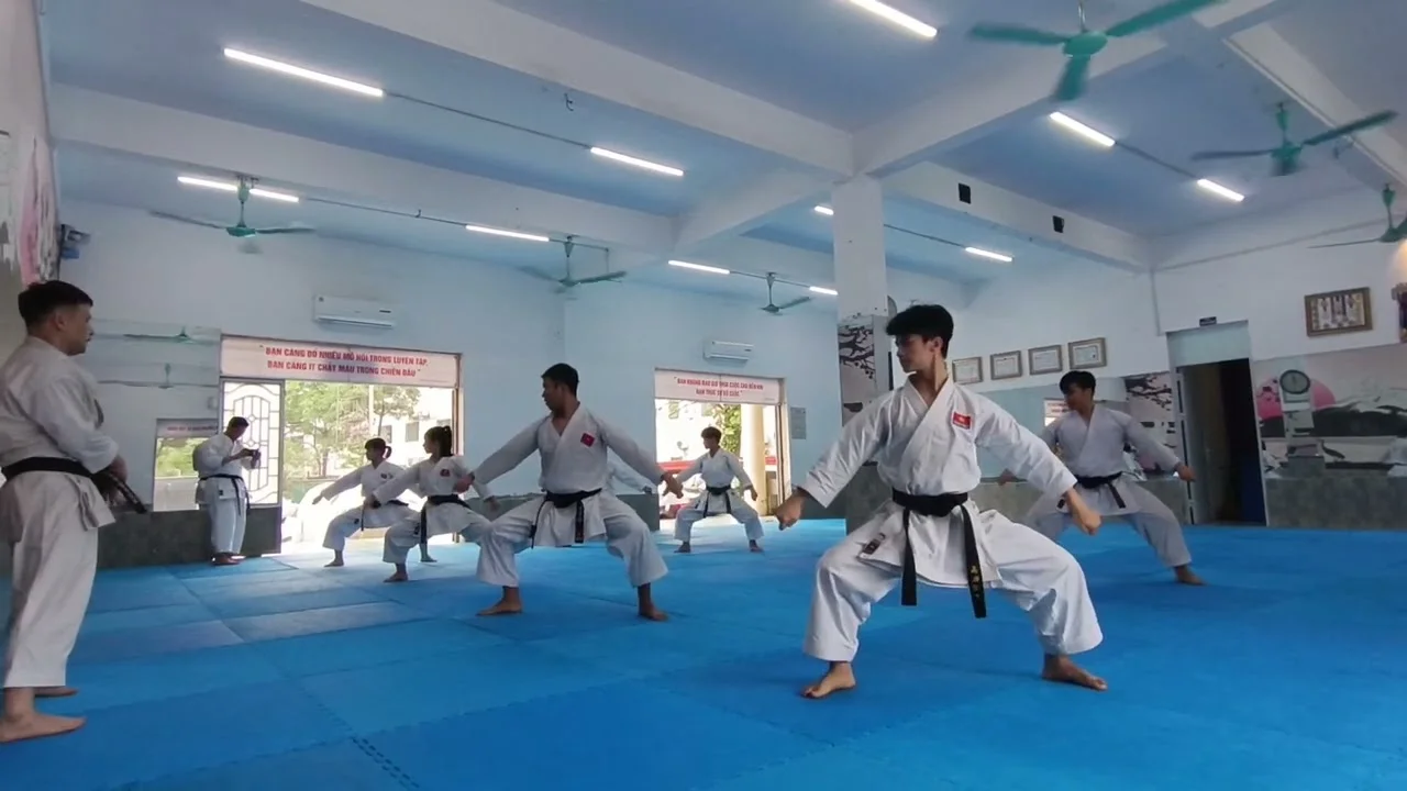Suparinpei kata shito ryu tutorial